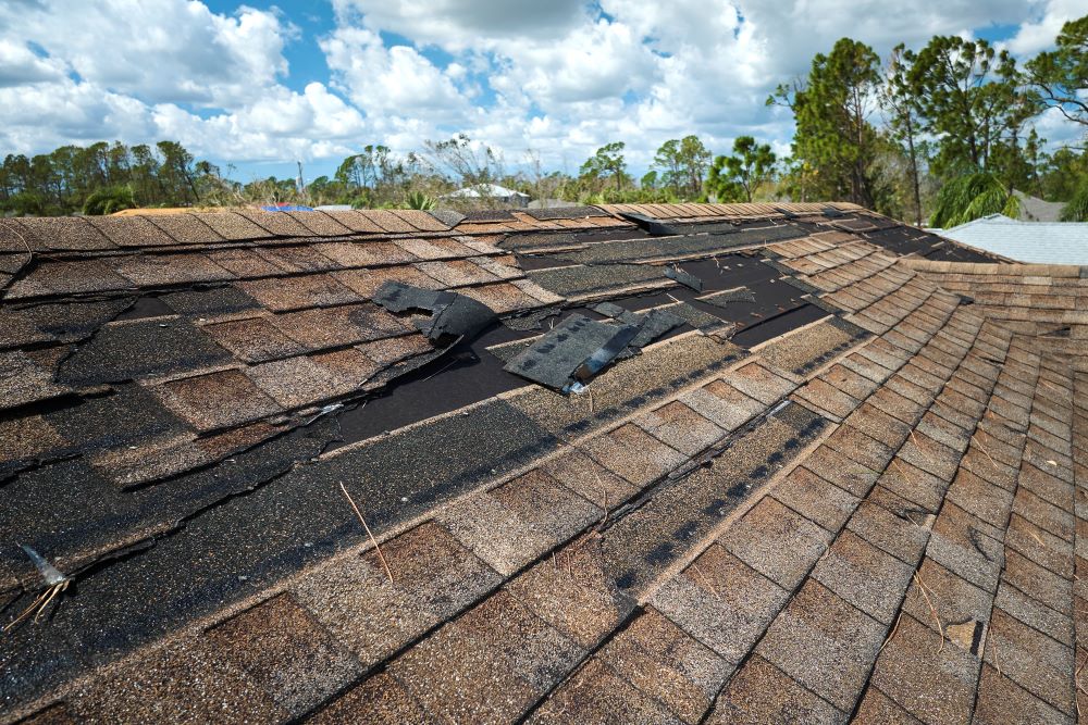top 5 signs that you need a new roof
